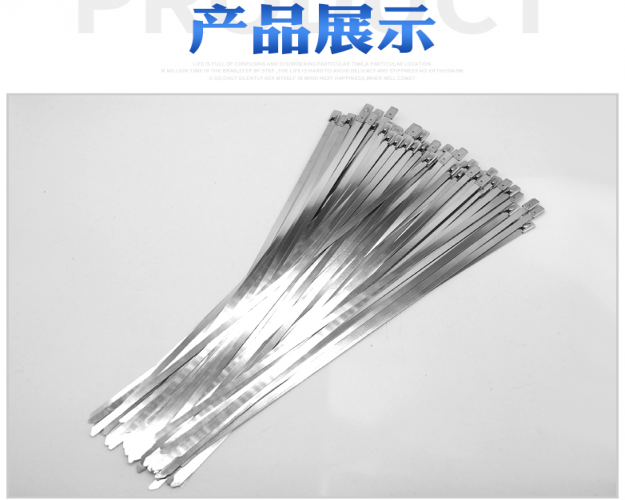 不銹鋼扎帶